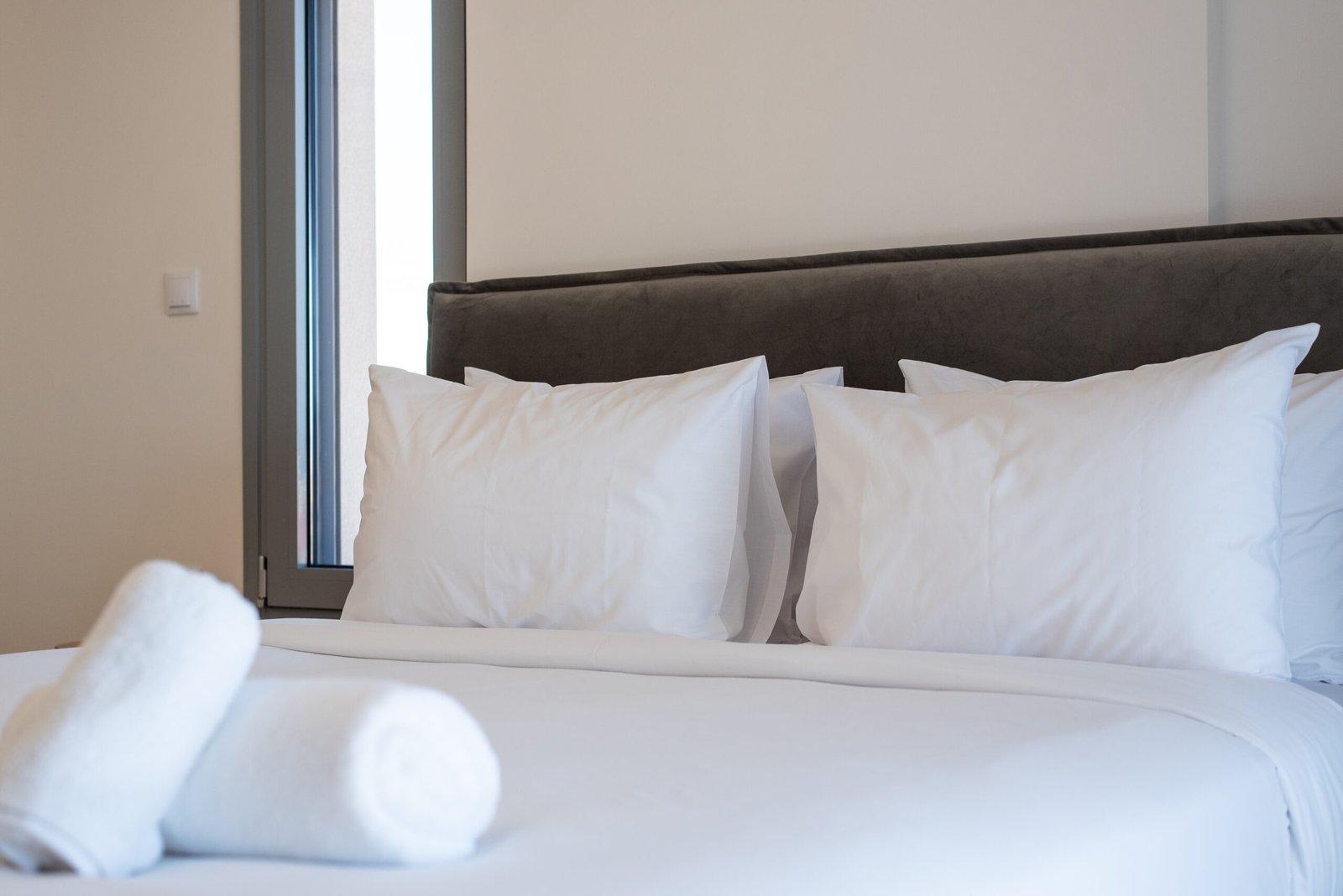DSC_4600